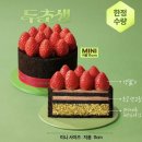 야후빌딩 | 투썸 두초생 내돈내산 솔직 후기 / 두초생 칼로리 가격 구매하는 법