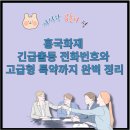 흥국밧데리 이미지