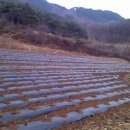 상단농장 이미지