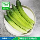 [세종공주원예농협] 공주 우성 수분 가득한 오이 20kg(특)