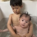 주호태권도 이미지