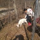 가송민박 이미지