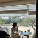 아라비카커피숍 이미지