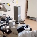 홉킨스(HOPKINS)전일내과의원 이미지