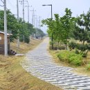 서천 금강2경 도보여행길 이미지