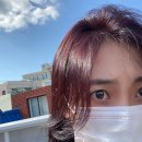 홍단헤어 네이버블로그