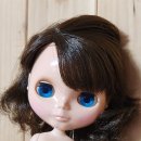 애니멀즈 | [인형] 블라이스 세이브 디 애니멀즈 구매 후기~