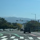 명호목장 이미지