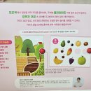 예스동물병원 | 맘글리쉬 엄마표 영어 올인원 플레이북 후기 – 아이와 함께 놀며 배우는 영어시간