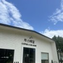 루스베델 | 양평 책 읽기 좋은 조용한 야외 테라스 카페 '루스베델'