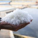 순천고들빼기 영농조합법인 이미지