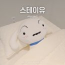 안양시석수청소년문화의집 | 천연슈가링왁스로 꼼꼼히 시술하는 석수역 왁싱샵, 스테이유