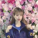 가현 이미지