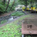 제345차(2024.08.10.) 외산 만수산&만수산자연휴양림(여름야유회) 이미지