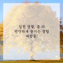 쉼표한의원 네이버블로그