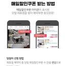 매일여기