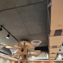 냥카페 묘연 이미지