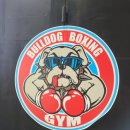 불독복싱 이미지