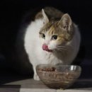 더구도 이미지