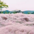 낙동강체육공원 야구장 이미지