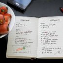 보네르 이미지