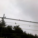 천연농장 이미지