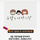 퍼피몽(애견분양) 이미지