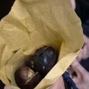 희망분수 | 2025년 11월 이탈리아 로마 스페인광장, 트레비분수(26)