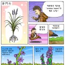 까부리 약사의 만화 칼럼 : 흑진주 맥문동 이미지