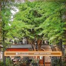 포레스타(Foresta)