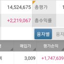 알에스아이 이미지