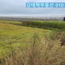 강태혁공인중개사사무소 이미지