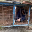 기자농장 이미지