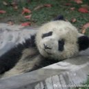 나무향기 한증막 이미지