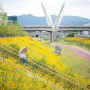 율하천자전거길 이미지