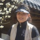 오수면사무소 이미지