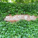 다리목옻닭
