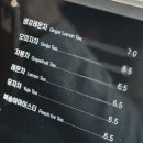 일산 가을 단풍 명소 옐로커피 솔직후기 메뉴, 주차, 사진 스팟 추천