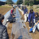 모다들엉 이미지