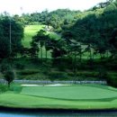 노송골프 이미지