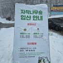별바라기공원 | 강원 인제 가볼 만한 곳 - 대설주의보 때 방문한 원대리자작나무숲 (주차 및 운영정보)