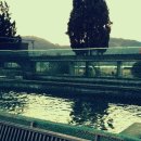 맛질송어회 이미지