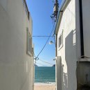 가온민박 | 국내 섬여행 통영 비진도 자매여행 2 해동민박 포토존 선유봉 트레킹 멧돼지 출현