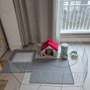 태산동물병원 이미지