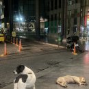 온천택시합명회사 | 튀르키예 안탈리아에서 파묵칼레 가는법 당일치기 자유여행