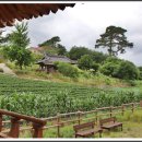 갈운정(葛雲亭) 이미지