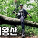 [Hiking] 강원 정선 가리왕산 나홀로 등산 | 한글 정상석으로 교체된 상봉⛰ 원시림이 살아있는 중봉⛰ | 회동리 코스 | 이미지