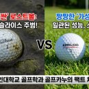 골프 팩트 이미지