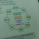빈코스메틱