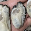 운문댐하류보6 이미지